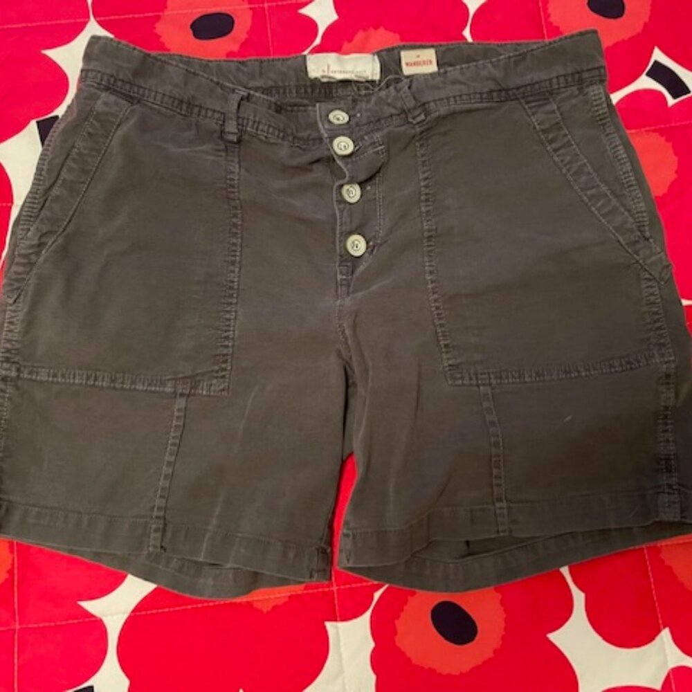 Anthropologie Wanderer shorts size 30